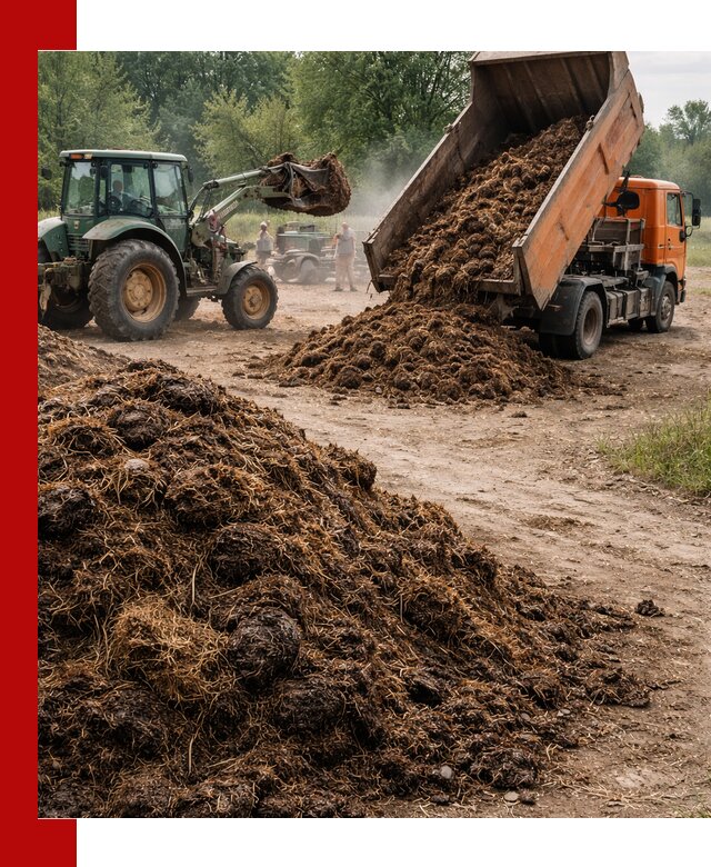 Доставка навоза самосвалами в Жигулёвске для сельхозпотребностей